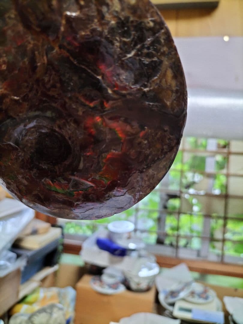 アンモライト原石