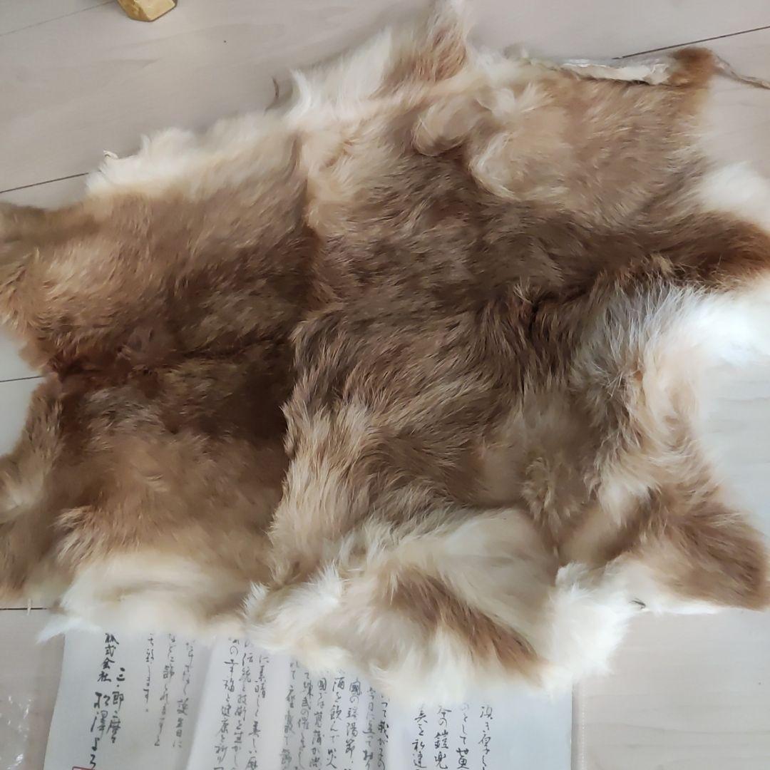 松澤よろい店 五月人形 御兜飾り 竜頭 毛皮付き 七五三