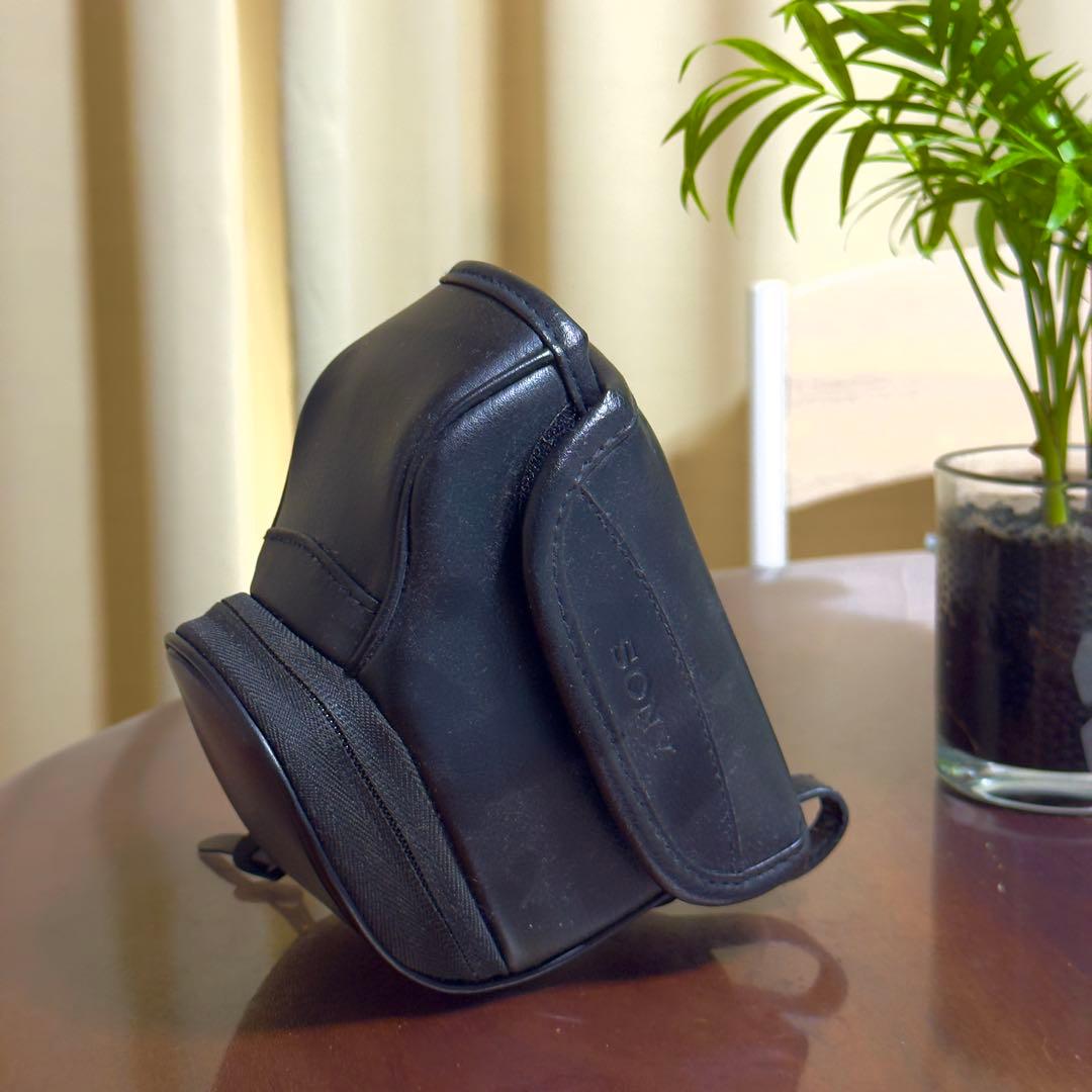 Sony α6000 a6000 ILCE-6000