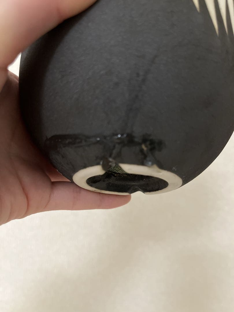 グラキリス現地球 valiem鉢セット