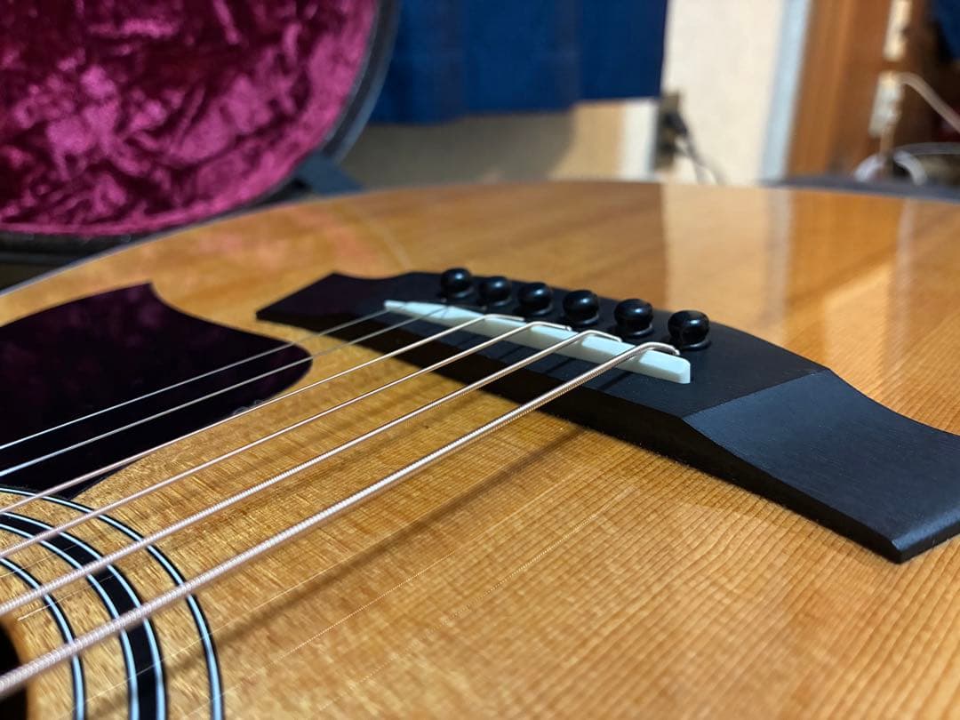 ギター Taylor317e