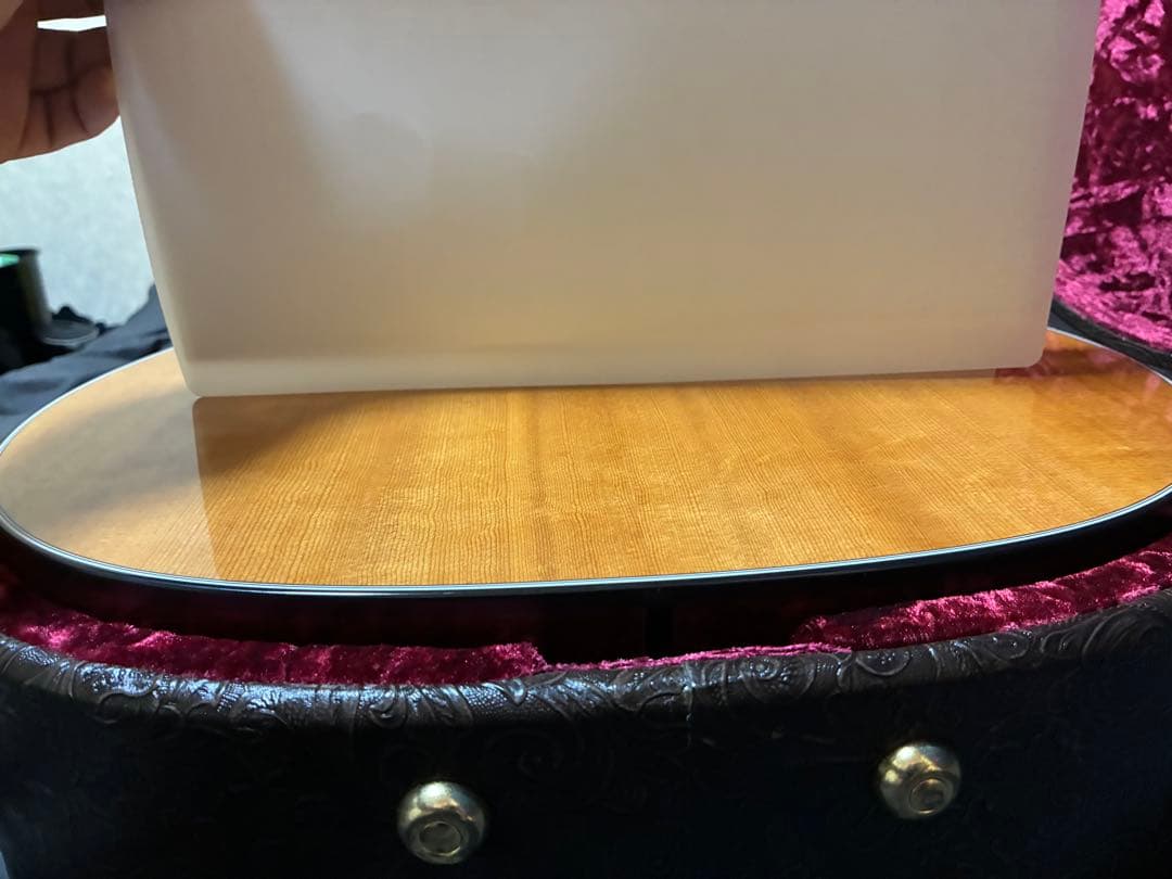 ギター Taylor317e