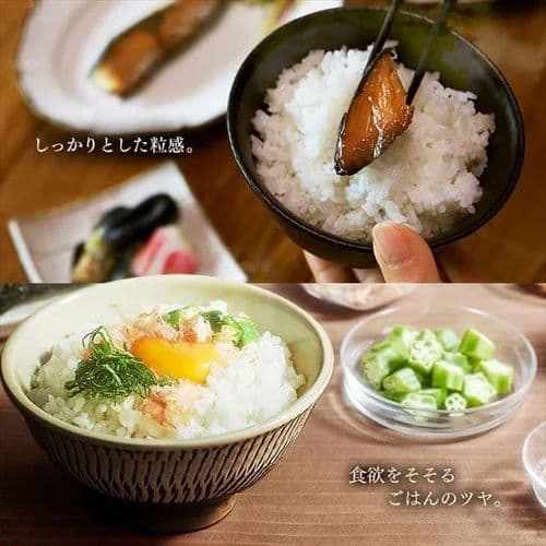 アイリスオーヤマ 炊飯器 1升炊きRC-ME10-B