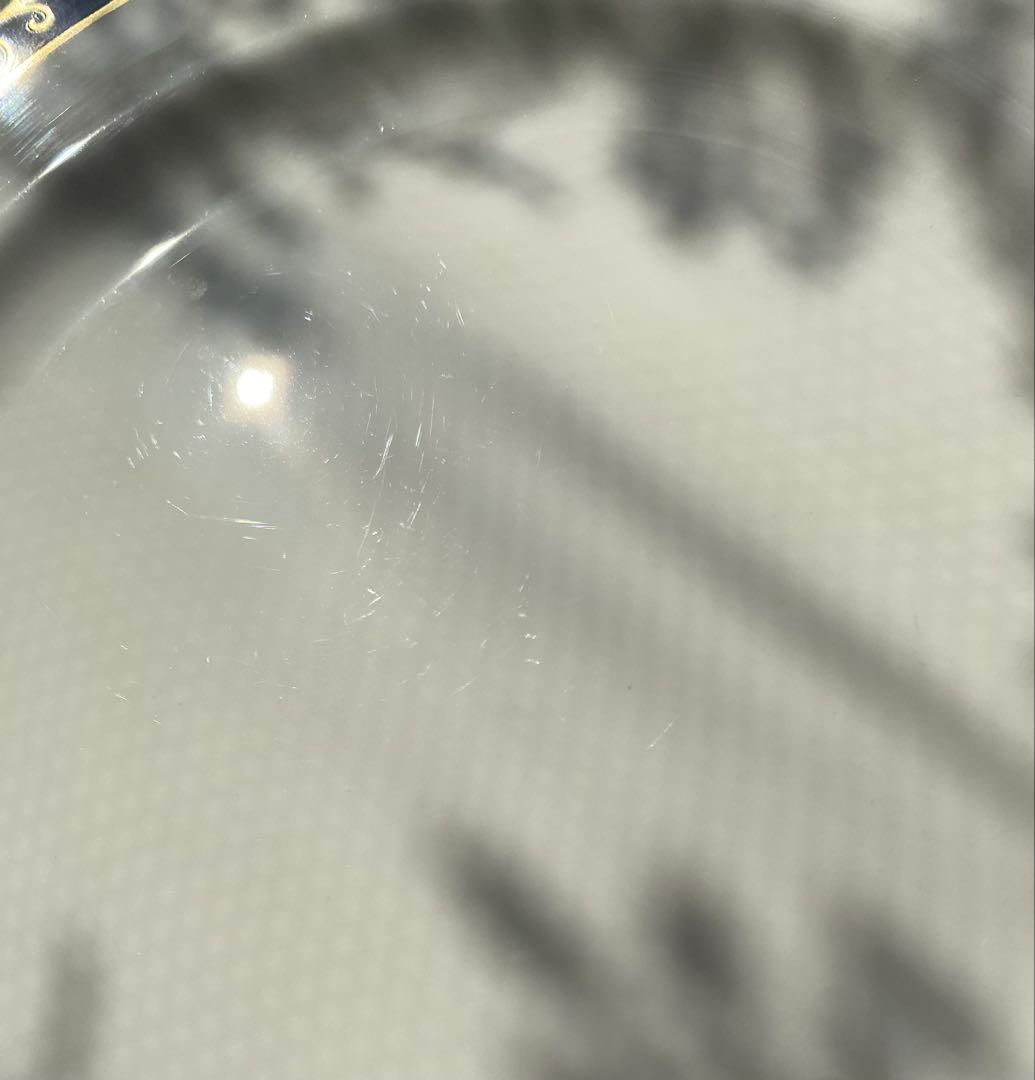 レア　リチャードジノリ　パランツァ　21cm&26.5cm プレース10枚