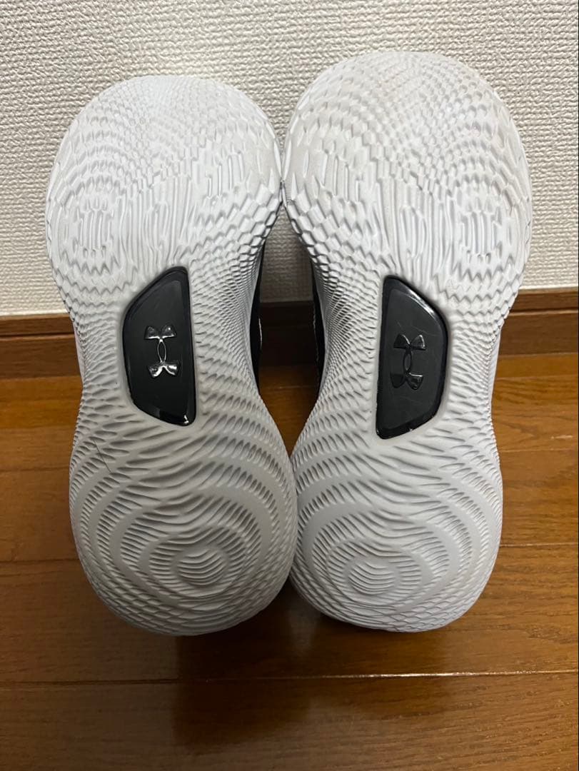 カリー 4フロトロ