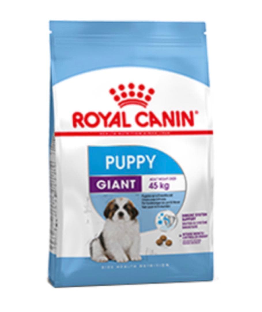 こー(プロフ必読)