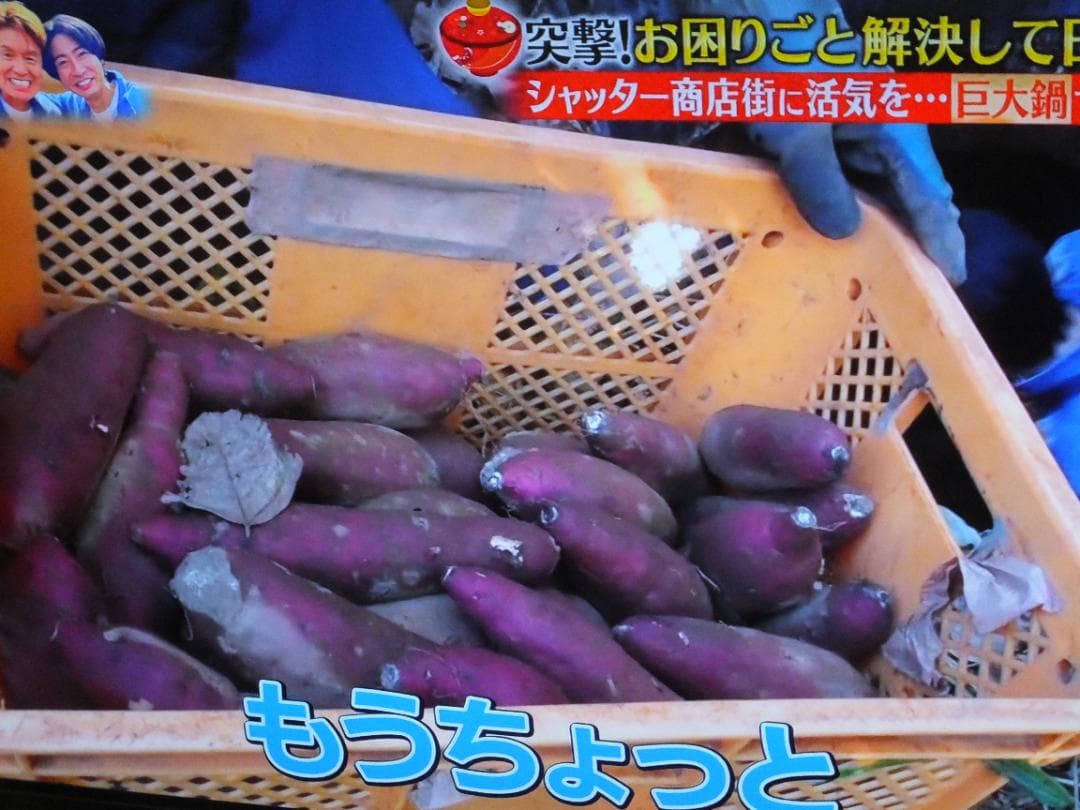 FUJIFILM F1000EXR 動作品