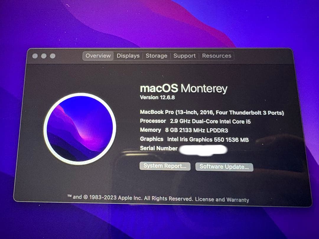 MacBook本体 Apple MacBook Pro 13 inch (2016)MLH12J/A