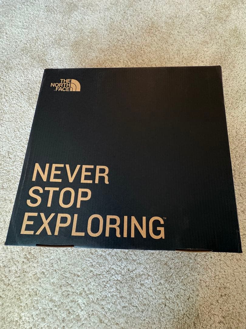 【美品】THE NORTH FACEヌプシ ブーティー 26cm NF51874