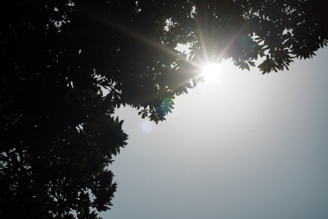 【極美品】ニコン Ai-s Nikkor 50mm F1.4 大口径 803