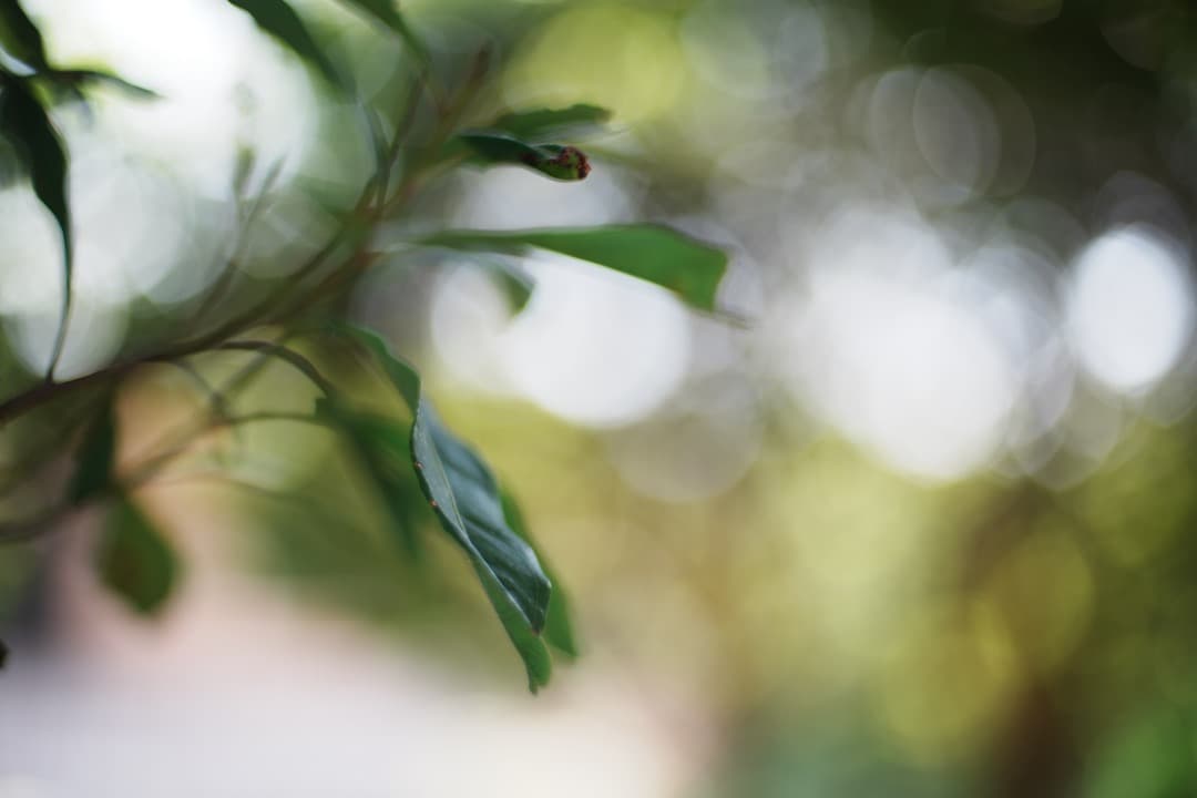 【極美品】ニコン Ai-s Nikkor 50mm F1.4 大口径 803