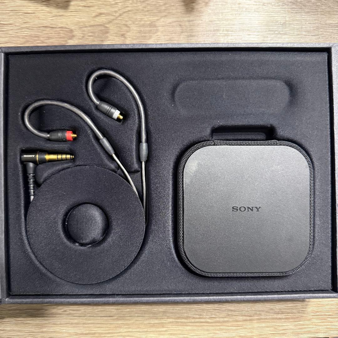 イヤホン SONY IER-M9