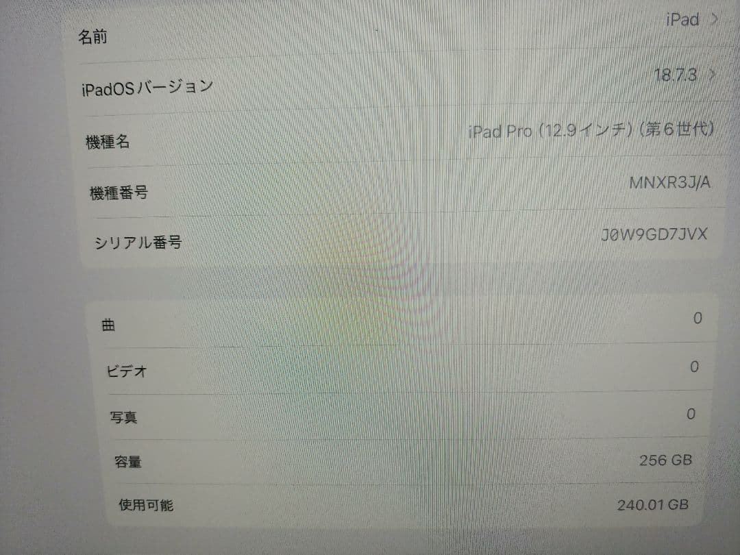 【第6世代】iPad Pro　12.9インチ　Wi-Fiモデル