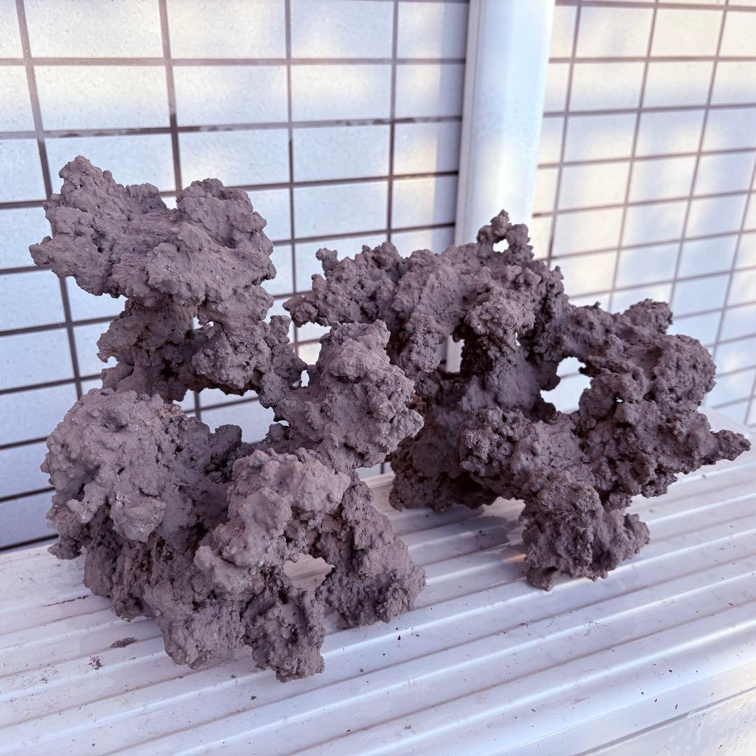 人工ライブロック　2 sets ver