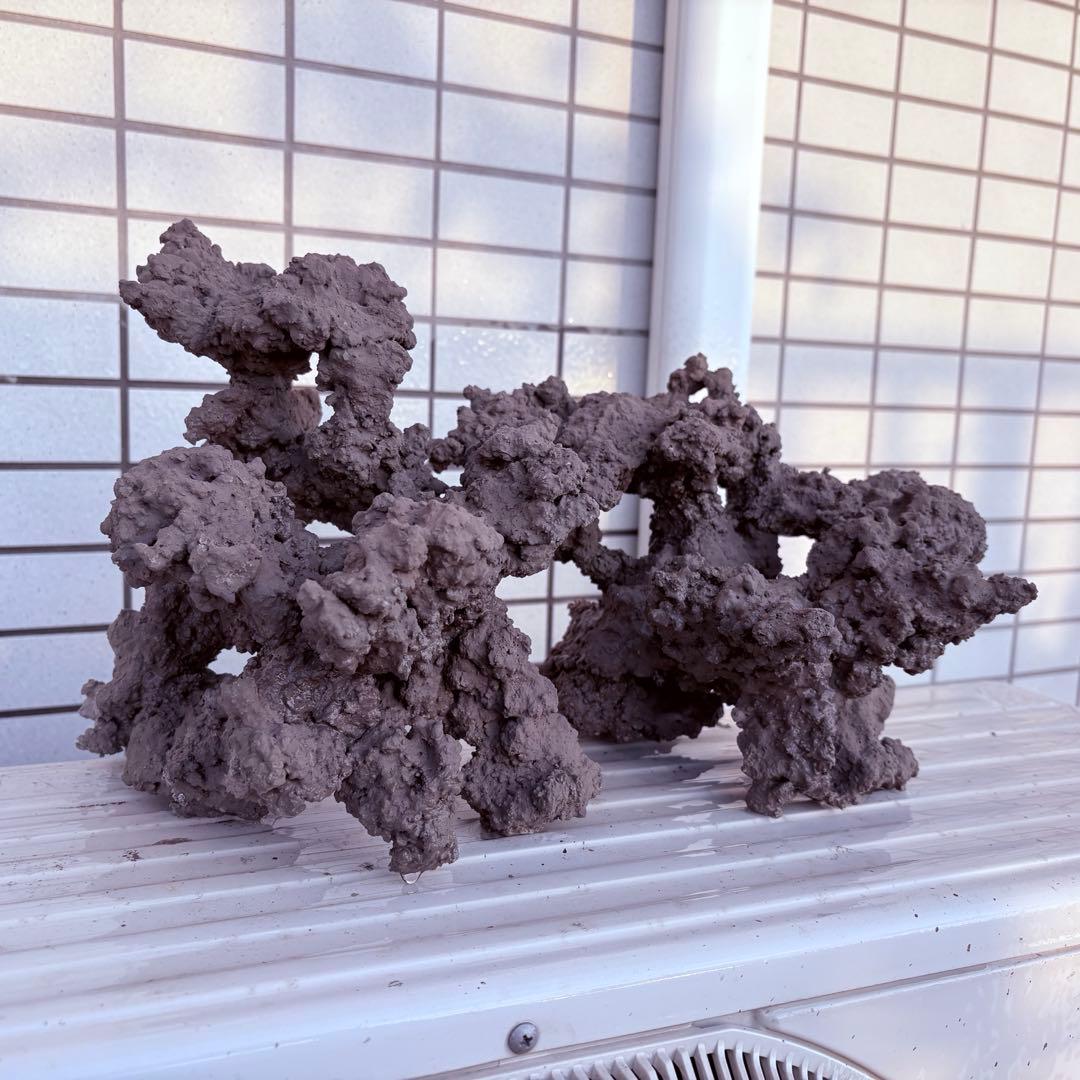 人工ライブロック　2 sets ver