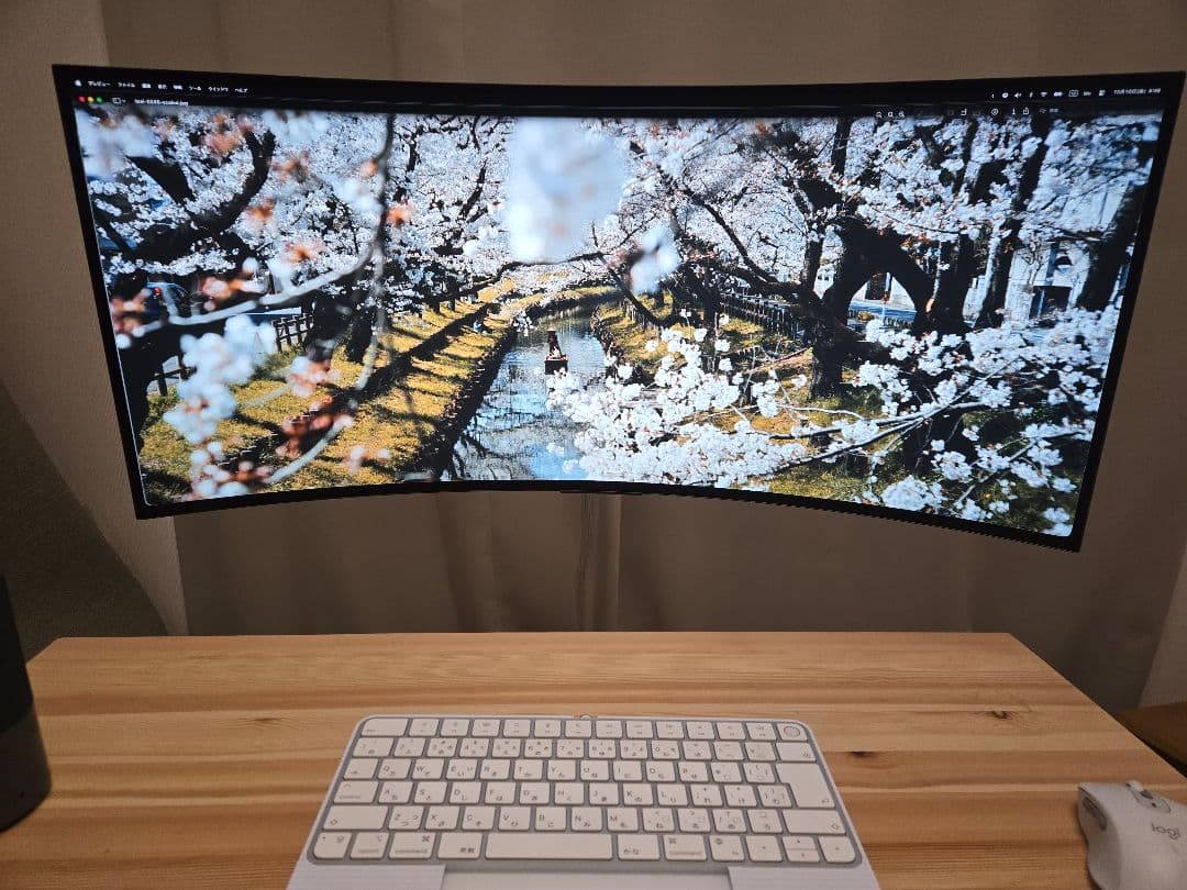 【美品】LG OLED 34GS95QE-B 有機EL 34インチ