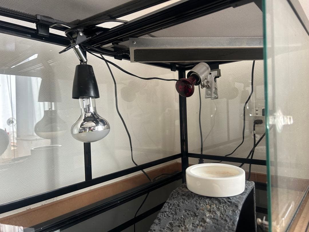 大型ガラス飼育ケージ UVB・ヒーターライト付き　引き取り限定