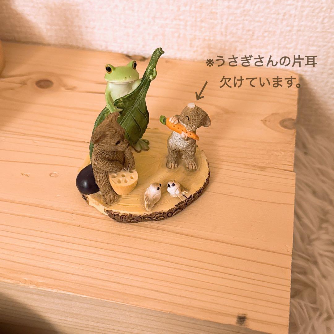 【まとめ売り】コポー　カエル　コポタロウ　18個セット　かえる