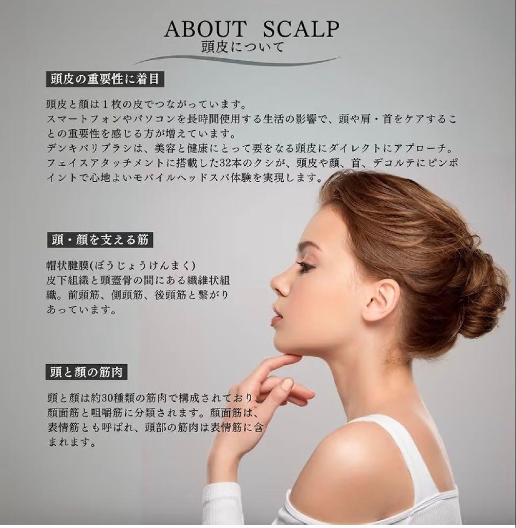 エレクトロンエブリワン　デンキバリブラシ　ELECTRIC BARI BRUSH