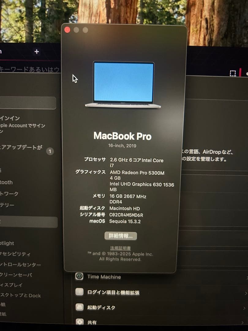 【2019】MacBook Pro 16inch 16GB SSD 512GB