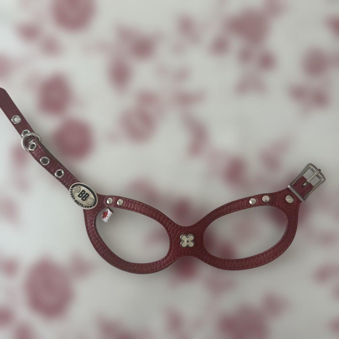 バディベルト✴︎ハーネス、リードセット