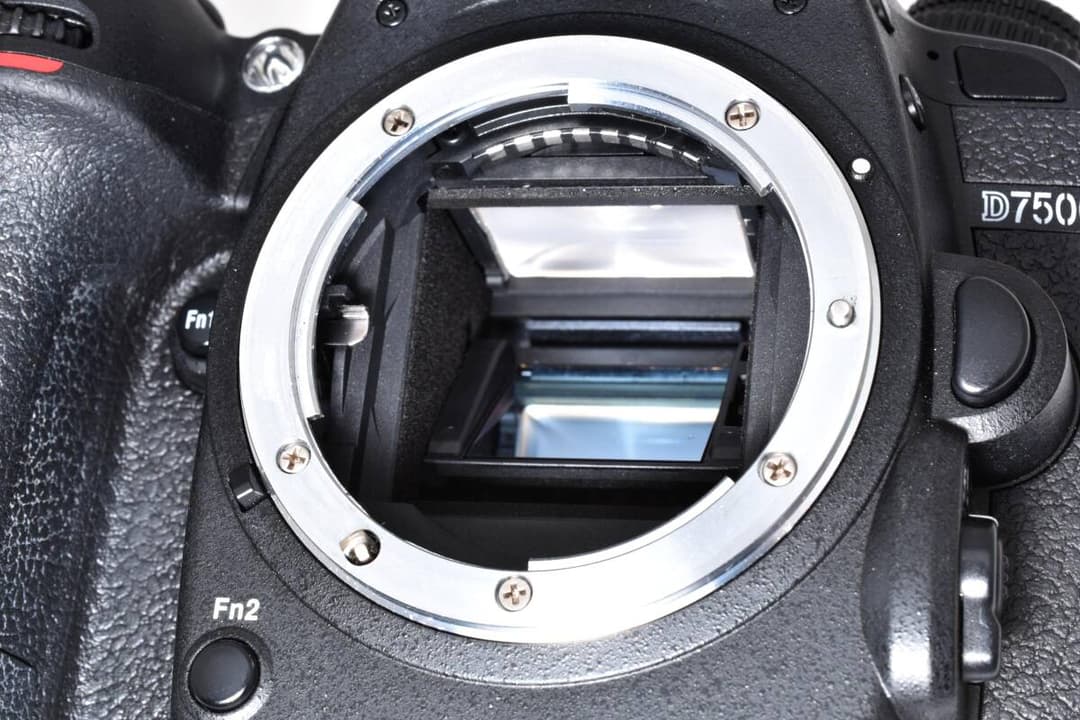 【いちご大福】Nikon D7500 ボディ 1894