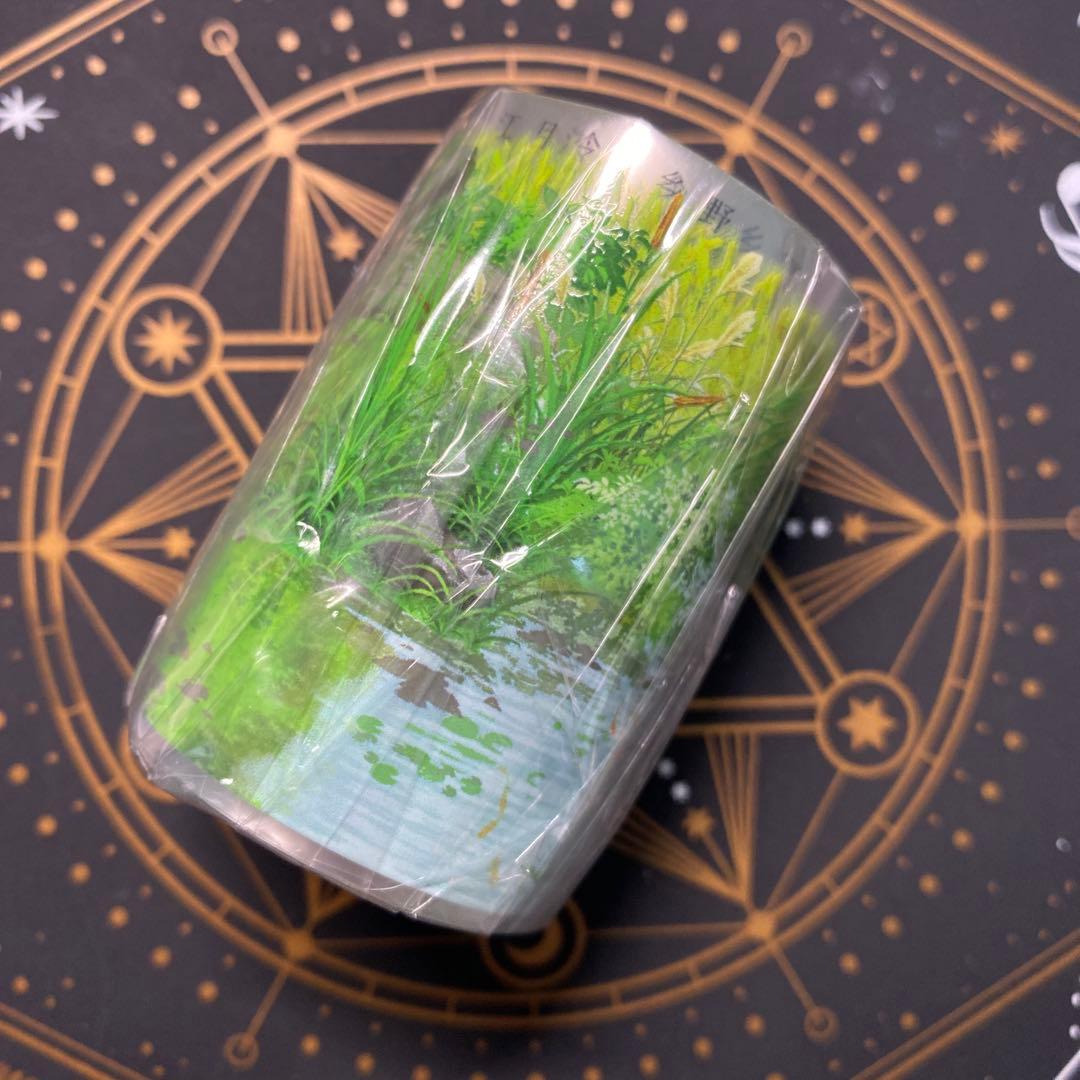 【9128】海外　マステ　5m巻　PETマスキングテープ池　金魚　芝生　自然景色