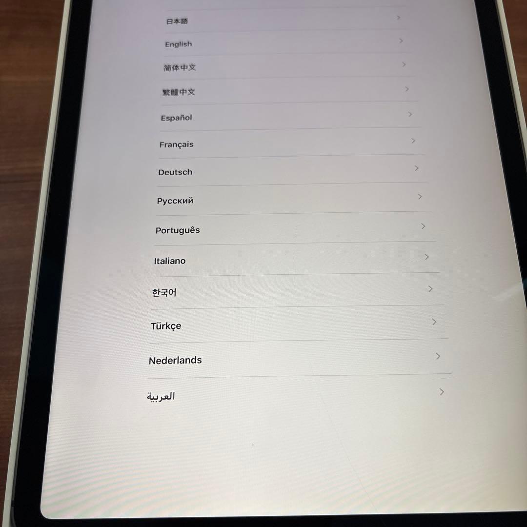 2018年モデル iPadPro11インチ 第1世代 256GB セル