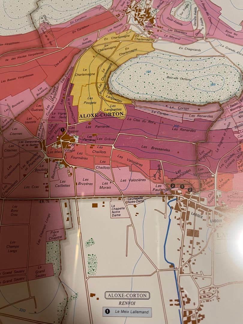【大型額装美品】ブルゴーニュ（ワイン）南北の詳細な葡萄畑の地図