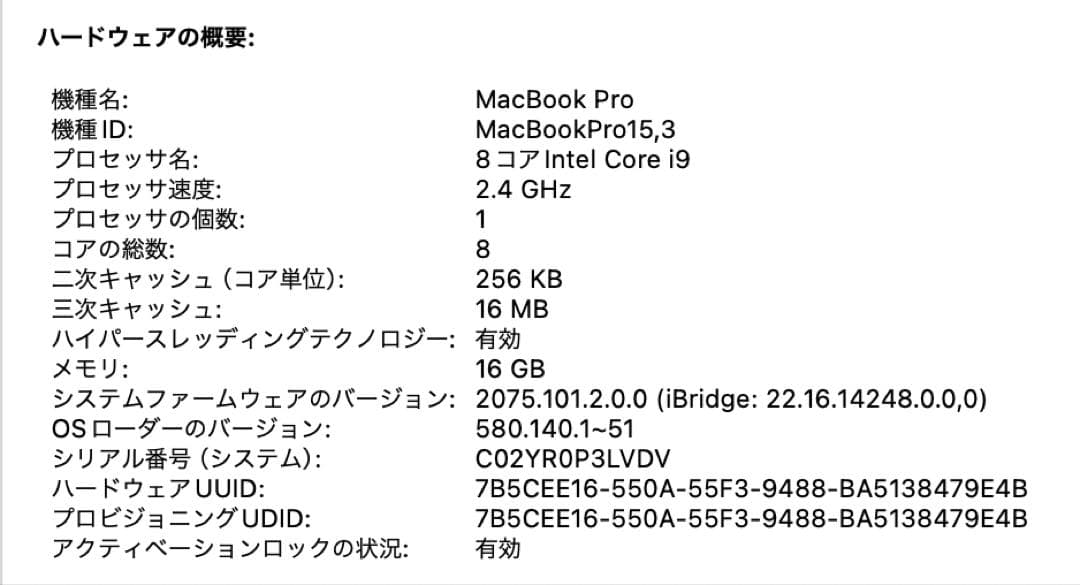 MacBook本体 Macbook pro 2019 15inch 16GB 2.4GHz 9i