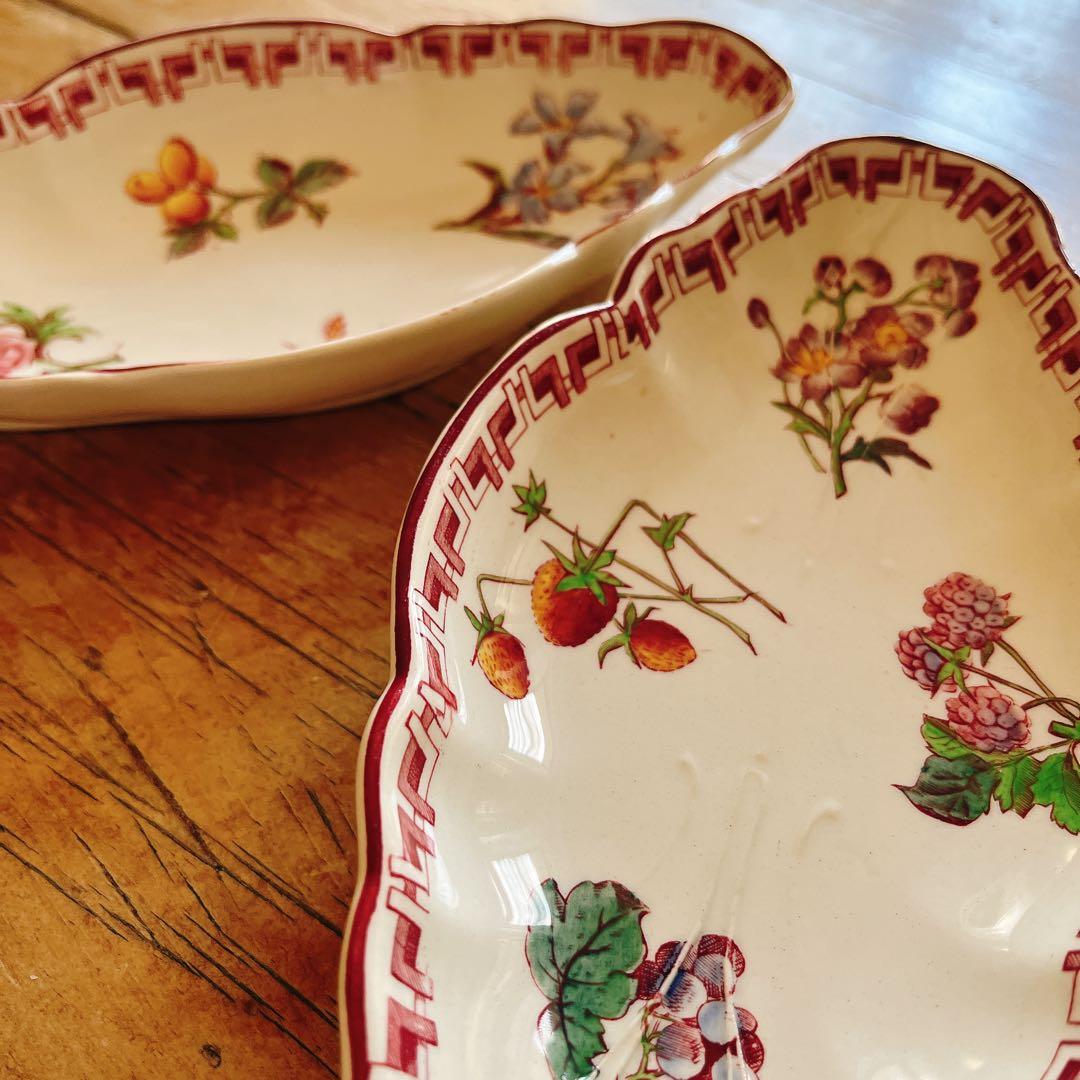 A サルグミンヌU&Cie 美しいフルーツと花のラヴィエ