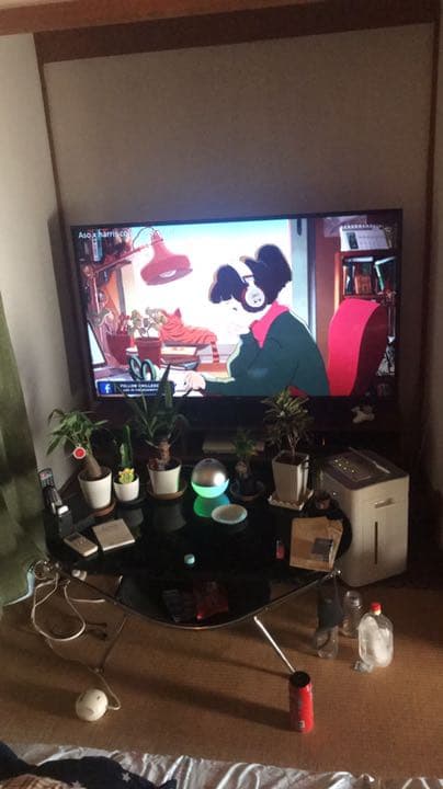テレビ65v型LG