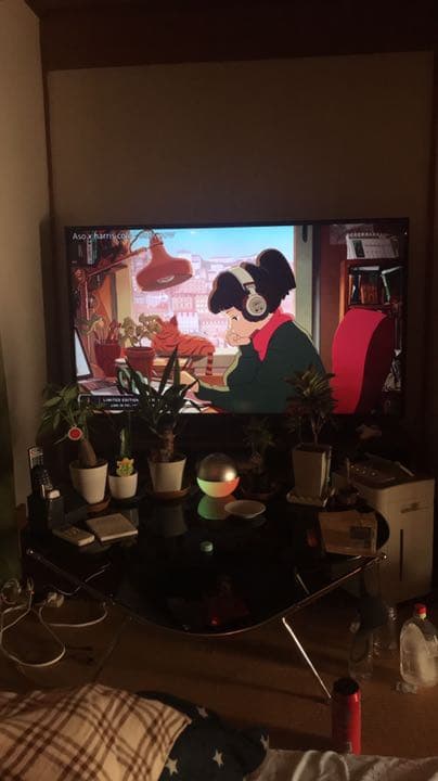テレビ65v型LG