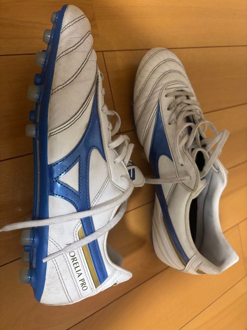 ミズノ　モレリアプロ　AGソール