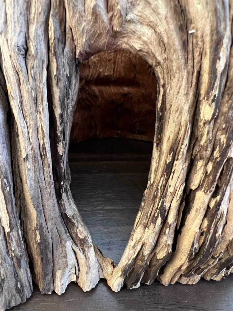 HX-008 流木　空洞　爬虫類　アクアリウム　アクアテラリウム　即沈水