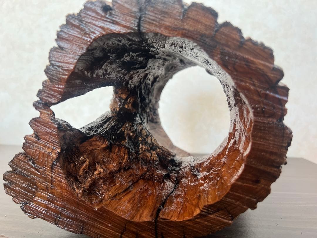 HX-008 流木　空洞　爬虫類　アクアリウム　アクアテラリウム　即沈水