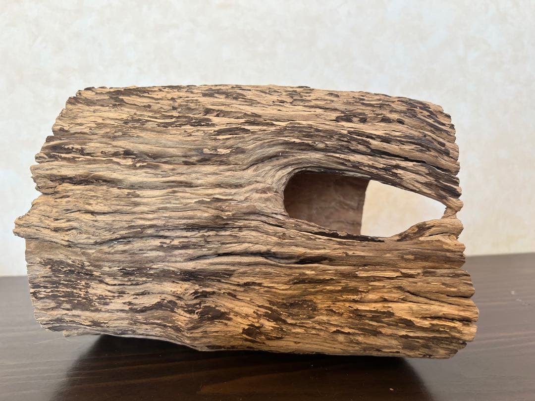 HX-008 流木　空洞　爬虫類　アクアリウム　アクアテラリウム　即沈水