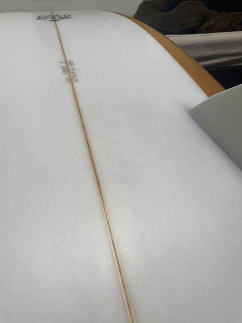 デッドクークス　Deadkooks Riches RF サーフボード　フィッシュ