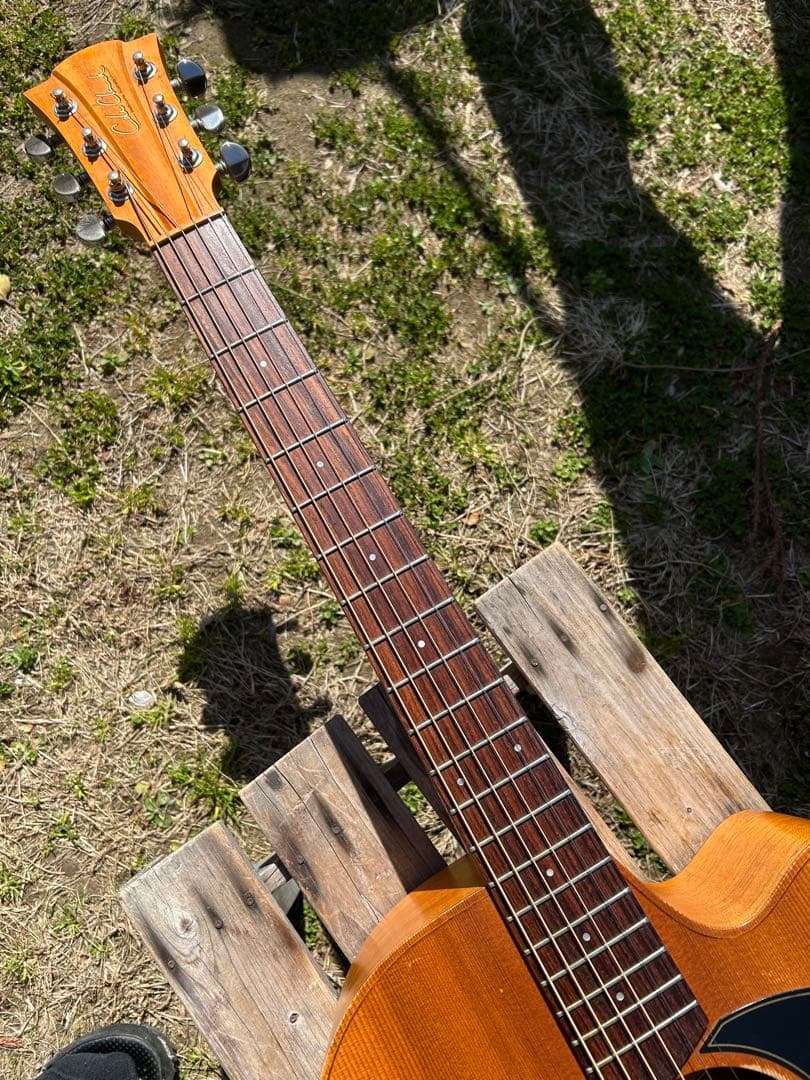 Cole Clark (オール単板)