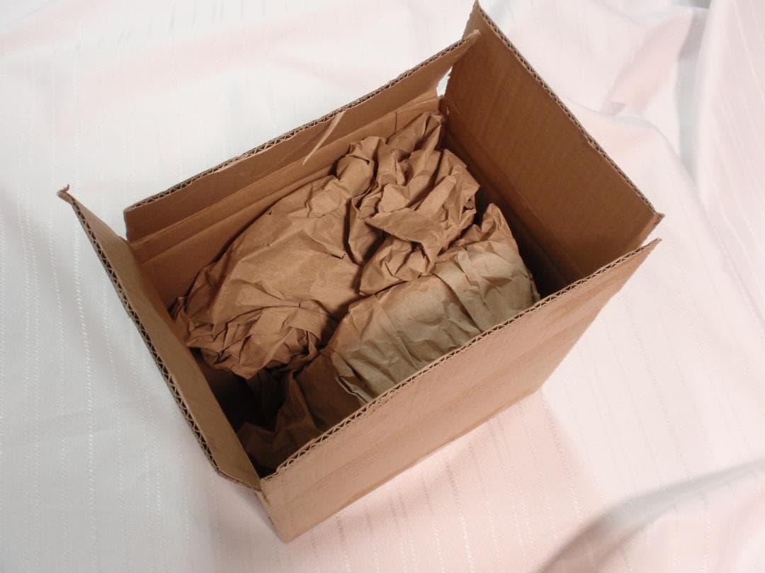 Colmore カメレオン デコボックス グリーン