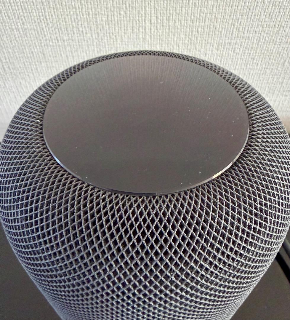 Apple Pod 　第1世代　スペースグレー【美品】　2台セット