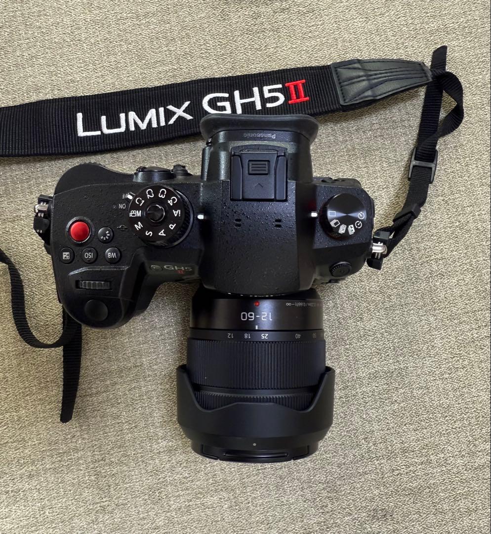 LUMIX GH5 II デジタル一眼レフ 本体標準ズームレンズキット