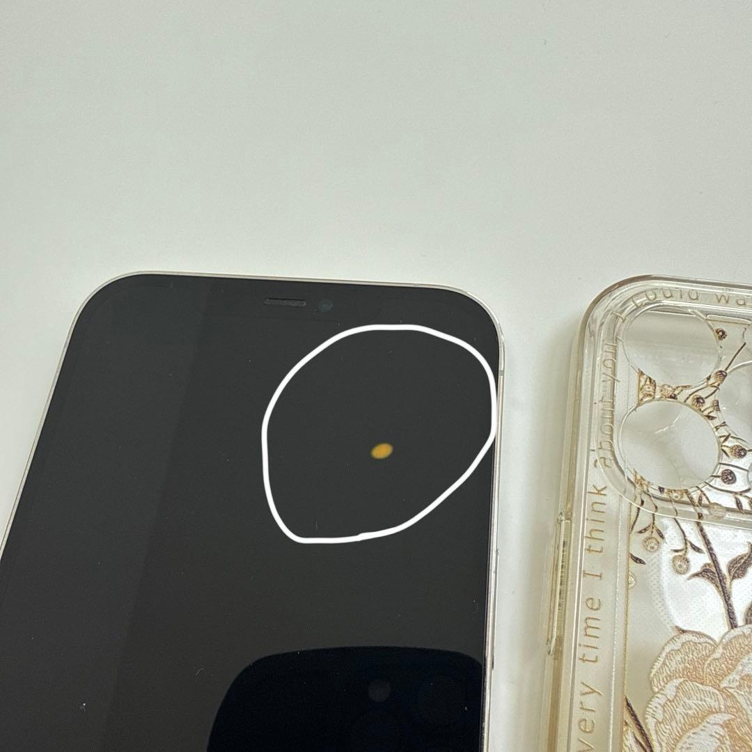 iPhone 12ProMAX Silver（シルバー）256GB ケースおまけ