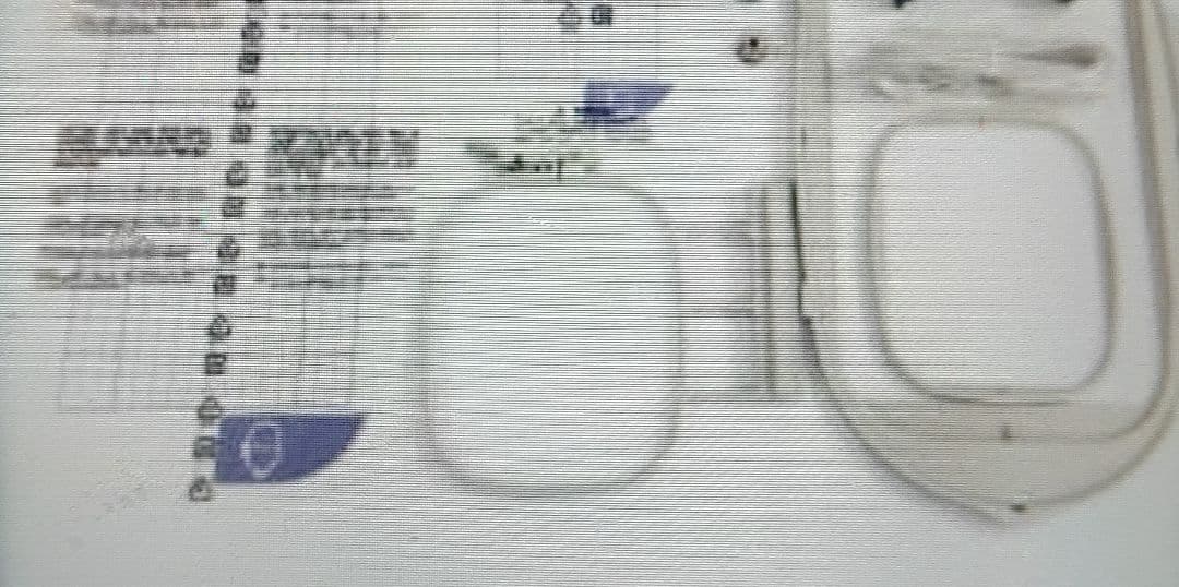 夏洛特
