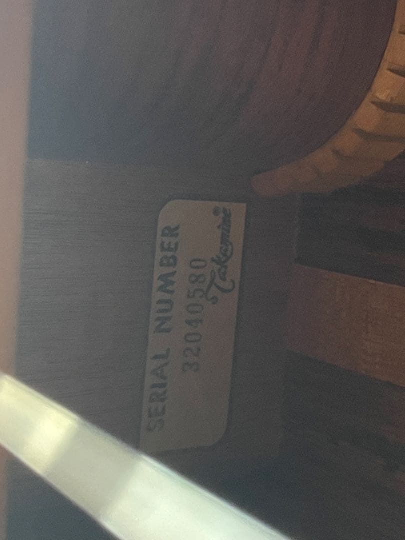 Takamine NPT-012BS アコースティックギター