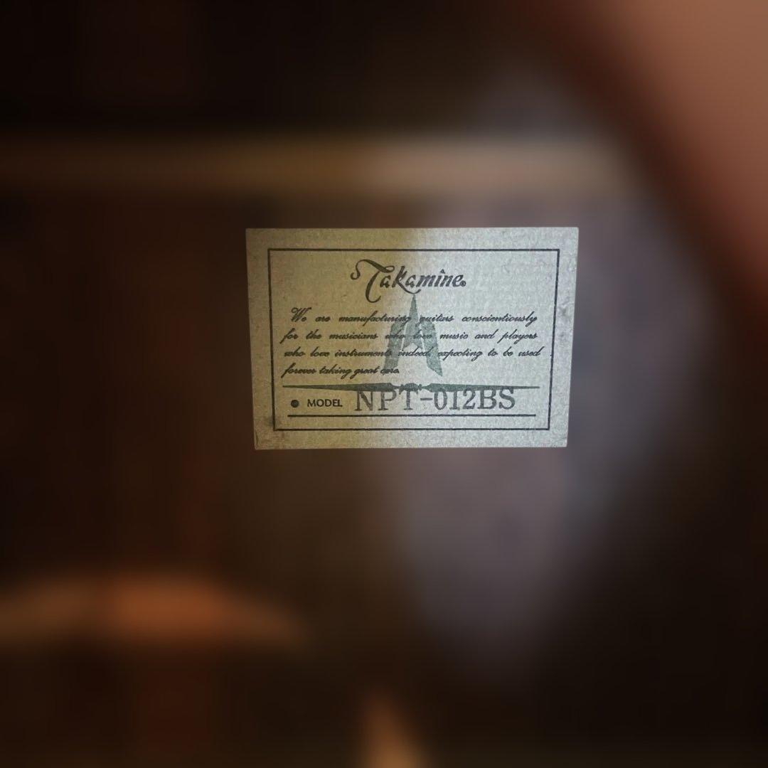 Takamine NPT-012BS アコースティックギター