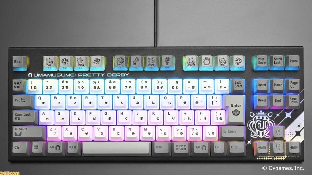 【未使用 未開封】限定ウマ娘コラボモデル REALFORCE GX1 キーボード