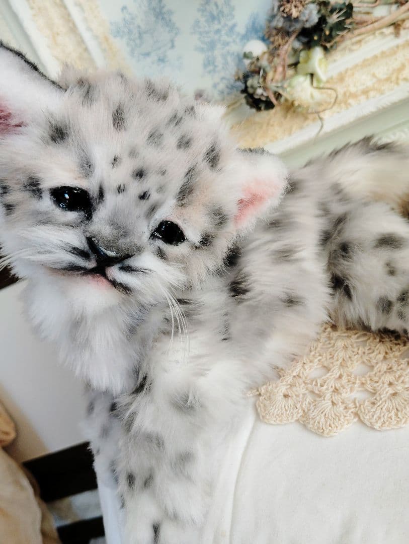 ユキヒョウベビー♡赤ちゃん♡アートドール♡ぬいぐるみ♡