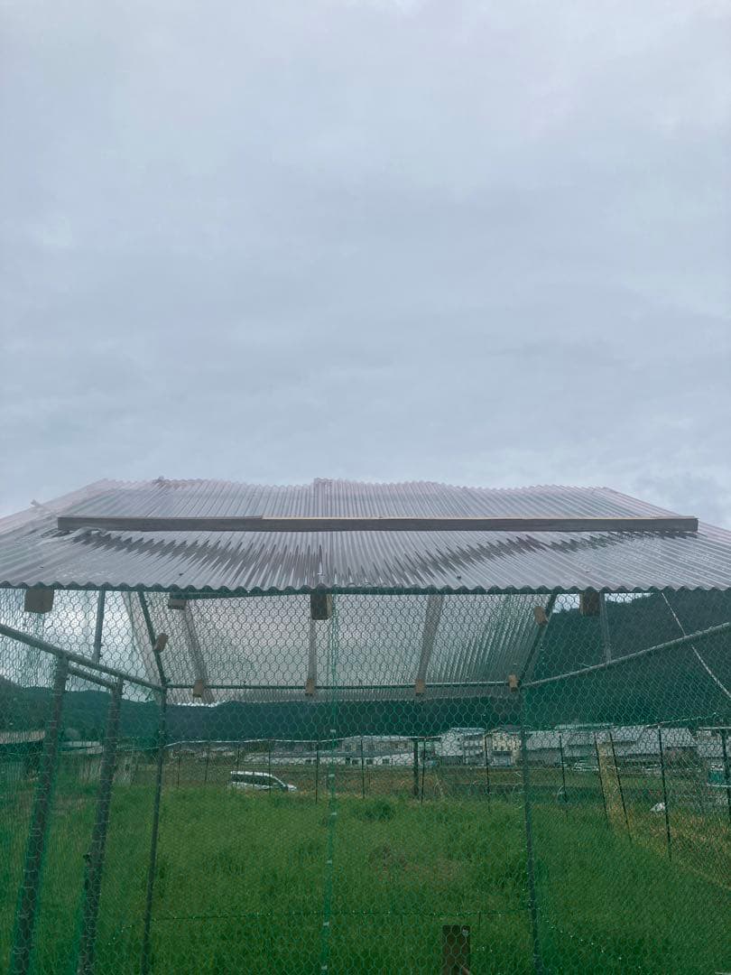 鶏や小動物用飼育ケージ 6㎡