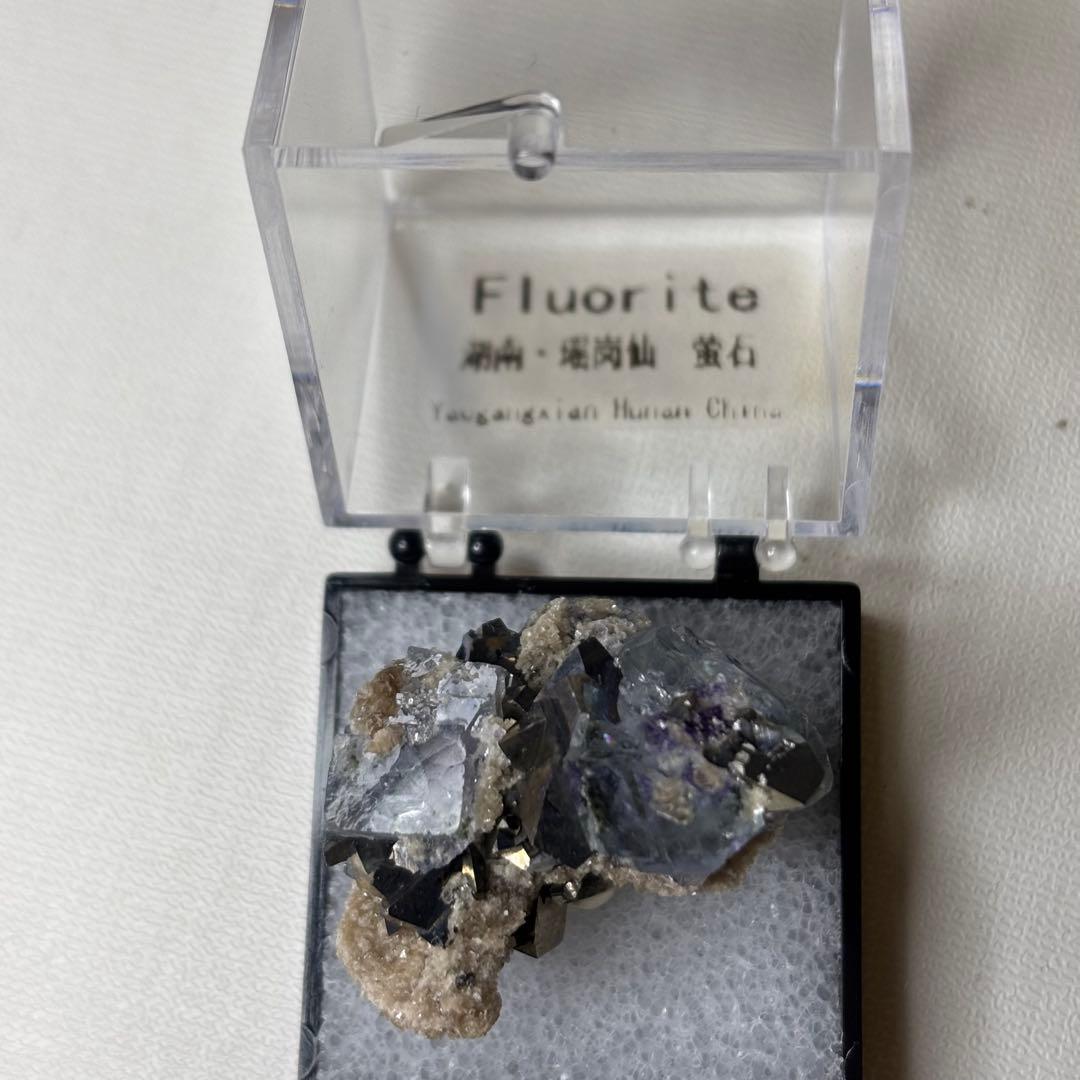 ヤオガンシャン産 フローライト パイライト共生 鉱物標本